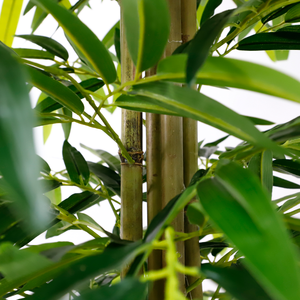 1.20 Hojas de Tela de Seda Artificial, Plantas Simuladas para Decoración de Jardín y Muebles, con Varillas Reales en Venta - Product Image 6