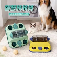 Jouets éducatifs pour animaux de compagnie : Distributeur de nourriture cachée pour chat, rouleau anti-glouton pour alimentation lente