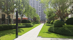 Nexus Service de conseil en aménagement paysager professionnel Embellissement de la cour avant arrière 3D <span class=keywords><strong>Max</strong></span> Construction <span class=keywords><strong>Immobilier</strong></span> - Product Image 5