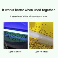 Trampa para Moscas Amarilla Sólida, Lámpara Atrapa Insectos, Tabla Adhesiva para Control de Plagas, Hormigas, Termitas y Polillas, Directo de Fábrica, en Existencia