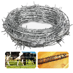 Fil <span class=keywords><strong>barbelé</strong></span> anti-escalade pour clôture de prison, 500 mètres, <span class=keywords><strong>grillage</strong></span> <span class=keywords><strong>barbelé</strong></span> pour clôture d'aéroport avec rouleau de fil de fer <span class=keywords><strong>barbelé</strong></span> à vendre - Product Image 5