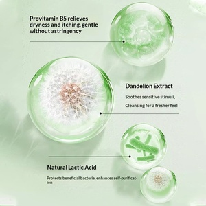 Solution de lavage <span class=keywords><strong>intime</strong></span> personnalisée pour femmes, soin au pissenlit, liquide antibactérien, bactériostatique, désodorisant - Product Image 3