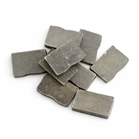SS-S103 24*13/14*5.6/6.2mm Segments diamantés polis en forme de B, pièces d'outillage électrique OEM pour lame de coupe diamantée et lame de scie à granit