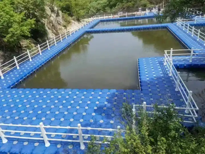 HDPE <strong>Modular</strong> <strong>Floating</strong> <strong>Dock</strong> New Design Safe Marine Walkway <strong>Platform</strong> with Customized Color For Sale - Product Image 4