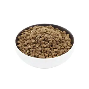 OEM/ODM Pet Dry Food High Protein Fresh Meat Ingredients Baked Cat Food