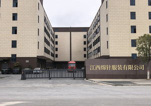 Camisetas de Manga Corta para Mujer, Cuello Redondo, Estilo Básico Elegante, Casual, Moderno, Corte Holgado - Product Image 6