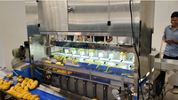 Industriële PLC-gestuurde hoog-efficiënte SUS 304 roestvrijstalen schilmachine voor mango, aardappel en gedroogd fruit, CE Gofun gecertificeerd