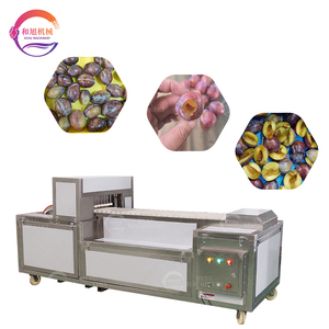 آلة إزالة حفرة البرقوق ، مزيل أحجار البرقوق ، شبه آلي ، صلب مقاوم للصدأ ، 2.6 كيلو وات ، مزيل بذور الفاكهة - Product Image 6