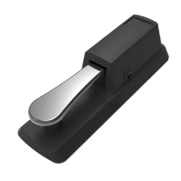Beisite Sustain Single Pedal for Digital Piano Organ