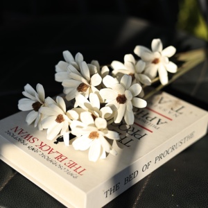 Bouquet di <span class=keywords><strong>Fiori</strong></span> Secchi Daisy Fatti a Mano di Origine Yunnan, Ecologici e Duraturi, con Scaglie di Legno e <span class=keywords><strong>Fiori</strong></span> di <span class=keywords><strong>Semi</strong></span> di Melone, Colori <span class=keywords><strong>Misti</strong></span> per Interni - Product Image 6
