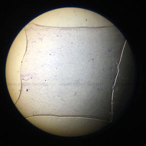 1 pièce de lame préparée de trophozoites de Giardia lamblia, parasite - Product Image 4