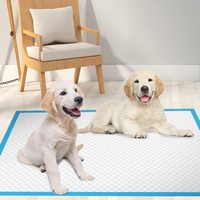 Tapis de pipi pour animaux de compagnie en gros d'usine SOMA pour chat et chien tapis de formation biodégradable jetable pour animaux de compagnie