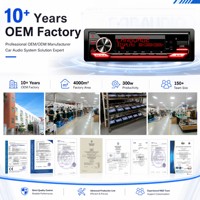 Estéreo para Auto Universal 1 Din con Reproductor MP3, Bluetooth 6.0, Crossover de 3 Vías, Ajuste de Fase de Retraso y RDS