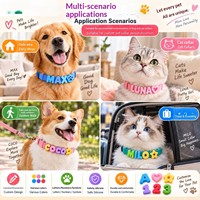 Perles en silicone multilingues personnalisées, imperméables et résistantes à la flexion, pour colliers DIY, accessoires pour animaux de compagnie, étiquettes nominatives pour chats et chiens, symboles colorés