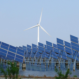 맞춤형 10kw 풍력 및 태양광 발전 시스템 하이브리드 오프그리드 태양광 시스템 - Product Image 3