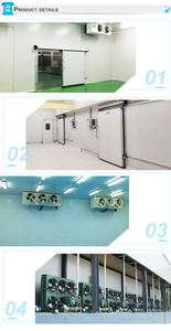 Chambre froide solaire de gros pour congélation de viande avec isolation en polyamide, moteur, pompe et roulement – Longue durée de vie, garantie 5 ans - Product Image 3