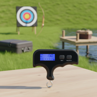 Balance numérique LCD en aluminium pour tir à l'arc, portable, précise jusqu'à 110 lbs, OEM