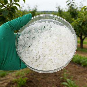 Additif d'hydrosemeur SAP pour la rétention d'eau, améliore la germination des graines sur les pentes et les terres déshébées - Product Image 4