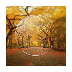 Danyang Factory <span class=keywords><strong>Prix</strong></span> bas PC 1.56 Freeform RX Lab VILUX Lentilles optiques progressives Lentilles de lunettes - Product Image 1