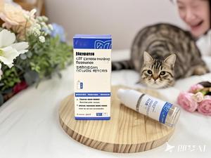 OEM <span class=keywords><strong>Spray</strong></span> démêlant naturel pour animaux de compagnie Brume de sommeil naturelle Lavande Pet Calm Aromathérapie <span class=keywords><strong>Spray</strong></span> Chien Chat Cheval Pet Huile essentielle <span class=keywords><strong>Spray</strong></span> - Product Image 6