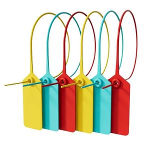 Étiquettes en plastique pour accrocher inscriptible avec sangle d'étanchéité Attache de câble d'expédition Étiquettes en plastique Étiquette pour clés Bagages Logistique Vente au détail - Product Image 3