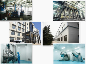 مسحوق فاكهة بابايا طازج عالي الجودة - Product Image 6