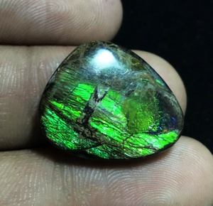 Cabochonsพลอยแอมโมไลต์ธรรมชาติของแคนาดา,อัญมณีทรงหลวม - Product Image 5