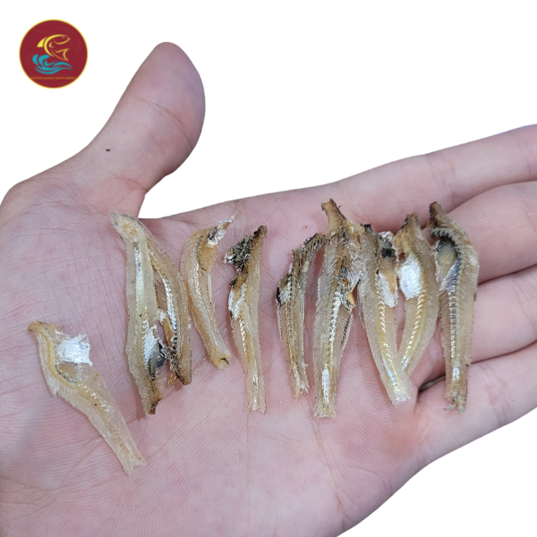 Pesce di acciughe essiccate bianche 100% sole naturale dalla fabbrica del Viet Nam pronto per l'esportazione di alta qualità