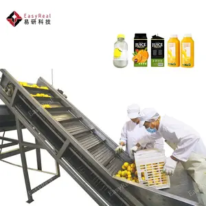 Buon Produttore di Agrumi Arancia Limone Puro Concentrato di Succo di Succo di Linea di Lavorazione Impianto di Produzione