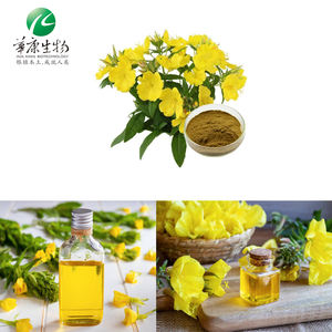 Source Factory Oenothera Biennis aceite de semilla Erythrosepala Borb polvo Extracto de onagra - Product Image 2