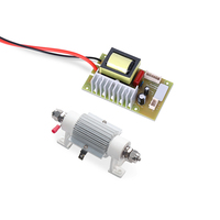 Günstiger Preis Luftkühlung Keramik Ozon Rohr 1 gr/std mit 110V 220V DC12V DC24V
