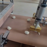 Machine à tortilla de maïs entièrement automatique Machine à chapati/paratha/roti/lavash/pain plat/coquille de taco Prix d'usine