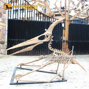 <span class=keywords><strong>Esqueleto</strong></span> de <span class=keywords><strong>Pteranodon</strong></span> de tamaño natural de MyDino, - Product Image 5