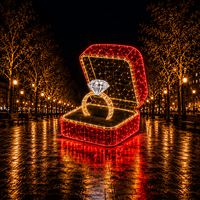 Boîte à Bague de Demande en Mariage avec Cadre Métallique et Lumière LED à Cordon, Certifiée CE RoHS IP65, Idéale pour Centre Commercial, Spot Photo, Décoration de Fiançailles, Lumière à Motif Saint-Valentin