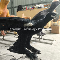 Expositions de microraptors animatroniques personnalisés pour musées intérieurs, musées de dinosaures, décorations de petits modèles