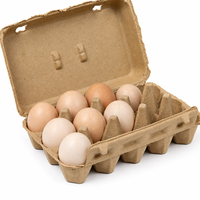 15 Cell Molded Paper Pulp Egg Carton Biodegradable Clamshell Egg Packaging Box for Chicken Eggs Custom Logo Paper Plate