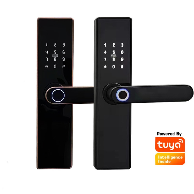 ABE Waterproof Tuya WiFi App Smart Door Lock Biometric Lock Fingerprint Door Handle Digital Keyless Smart Lock