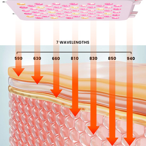 IDEATHERAPY Support Panneau de luminothérapie rouge à marque privée pour le visage, pour centres de thérapie et spas quotidiens - Product Image 2
