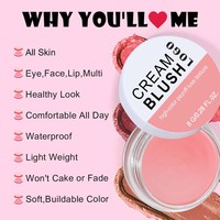 Palet Blush Vegan 13 Warna Pigmentasi Tinggi, Riasan Pipi Cantik, Label Pribadi, Logo Kustom, Krim Blush Vegan