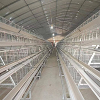 Cage automatique de poulet de batterie de pondeuse d'oeufs galvanisée de type A pour l'équipement de ferme de volaille