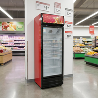 Réfrigérateur commercial vertical 300L pour boissons, vitrine réfrigérée avec porte vitrée pour la présentation de boissons