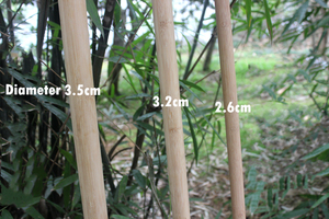 Bastones de Bambú Comprimido para <span class=keywords><strong>Wushu</strong></span> y <span class=keywords><strong>Kung</strong></span> <span class=keywords><strong>Fu</strong></span>, Bastón de Artes Marciales - Product Image 4