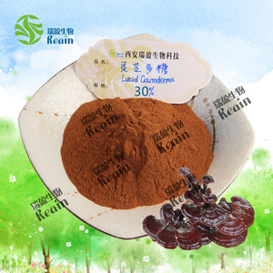 Tinh khiết tự nhiên <span class=keywords><strong>Ganoderma</strong></span> <span class=keywords><strong>lucidum</strong></span> chiết xuất 30% Polysaccharide Reishi Nấm chiết xuất bột - Product Image 2
