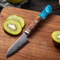 Ensemble de couteaux de cuisine japonais en acier Damas VG10, couteau Santoku, couteau Nakiri, manche en résine composite et écorce d'érable, dureté 60+/-2 HRC