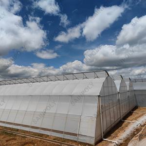 مصنع مخصص فيلم الدفيئة إطار معدني فيلم الدفيئة لزراعة الطماطم الدفيئة - Product Image 2