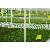Système d'hydroponie flottant commercial en PE/PVC |   Solution de serre à grande échelle pour la culture de la laitue et des herbes aromatiques à haute densité