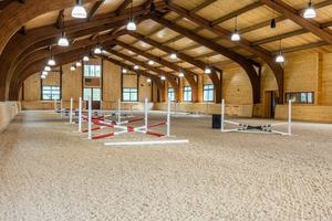 Système <span class=keywords><strong>de</strong></span> clôtures <span class=keywords><strong>de</strong></span> saut d'obstacles élégant et <span class=keywords><strong>de</strong></span> haute qualité pour l'entraînement en arène et la préparation au saut d'obstacles - Product Image 6