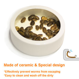 Plat de nourriture en céramique pour <span class=keywords><strong>Reptile</strong></span>, bol d'alimentation à eau de lézard pour reptiles - Product Image 3