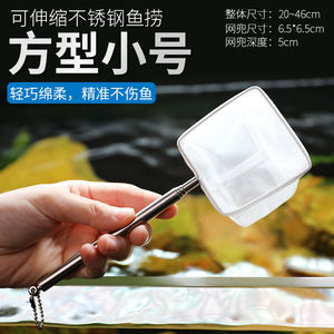 3D Fishing Net Stainless Steel Extendable Lightweight For <b>Fish</b> <b>Tank</b> <b>Tropical</b> Ornamental <b>Fish</b> Cleaning Tool Rectangle Shape - Product Image 5