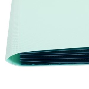 Dụng Cụ Sắp Xếp Hồ Sơ Dễ Thương Bằng Nhựa PP 5 Túi Màu Xanh Lá Cây Tiện Dụng Tập Tài Liệu Có Nhãn - Product Image 5